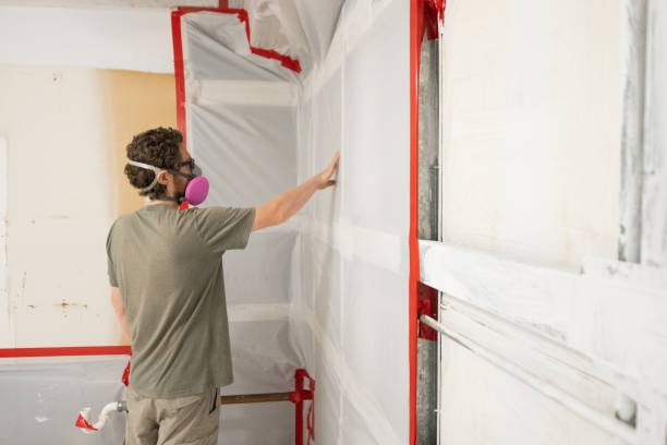 Best Industrial Mold Remediation  in West Wendover, NV