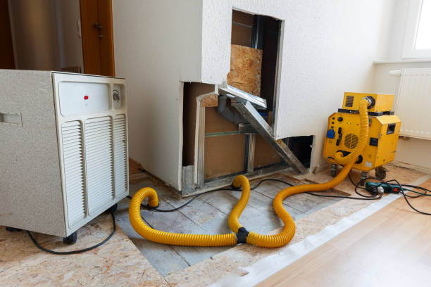 Best Indoor Air Quality Assessment  in West Wendover, NV